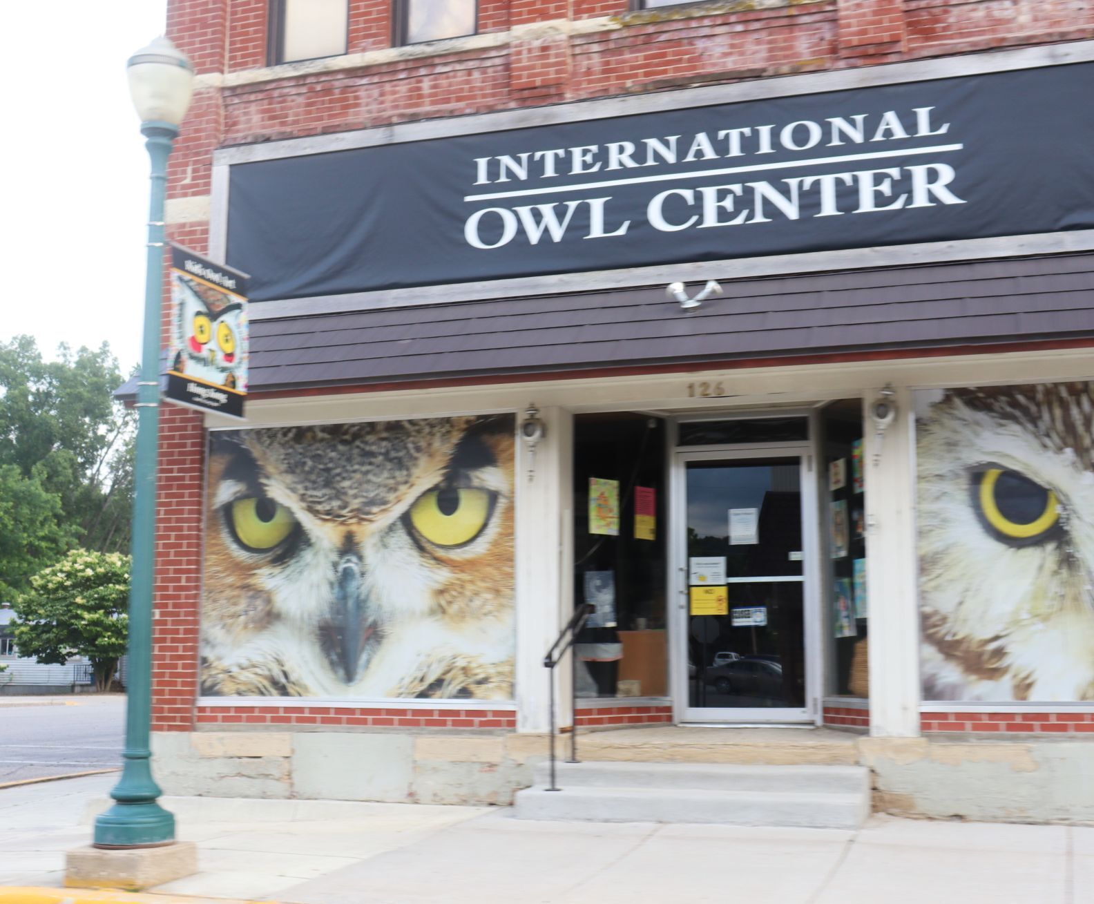 International Owl Center